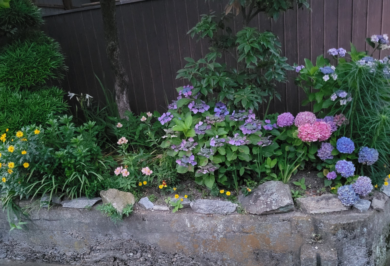 天然の草花